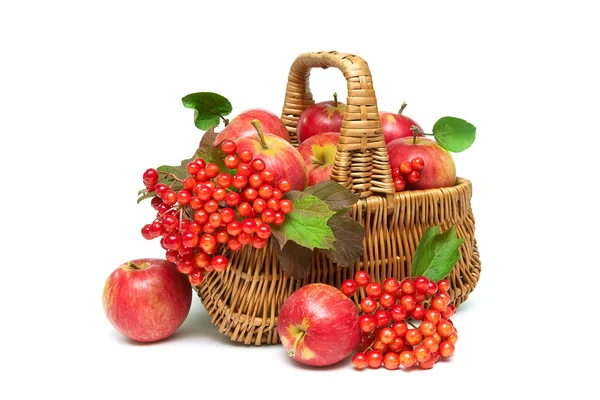 Apples and viburnum berries in a basket on a white background — Stock Photo, Image