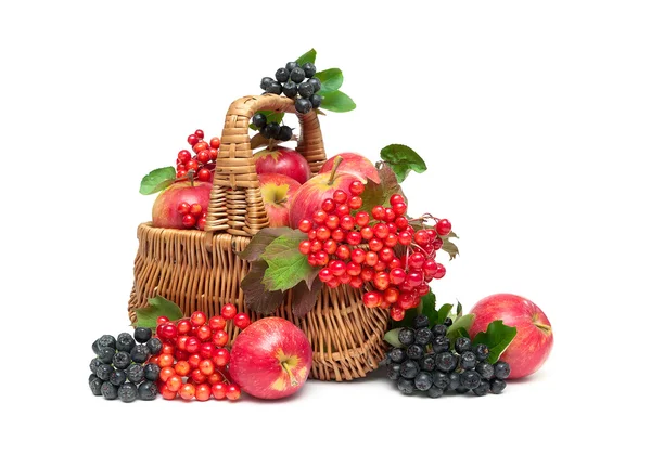 Apples, viburnum berries and chokeberry in a basket on a white b — Stock Photo, Image