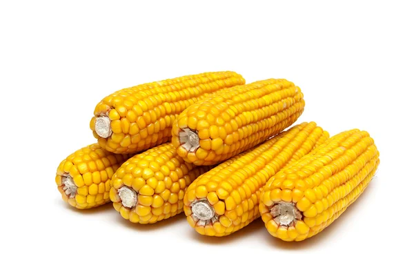 Corn on the cob close up on white background — Stock Photo, Image