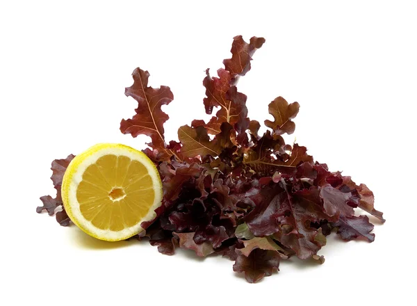 Lettuce and lemon isolated on a white background — Stock Photo, Image