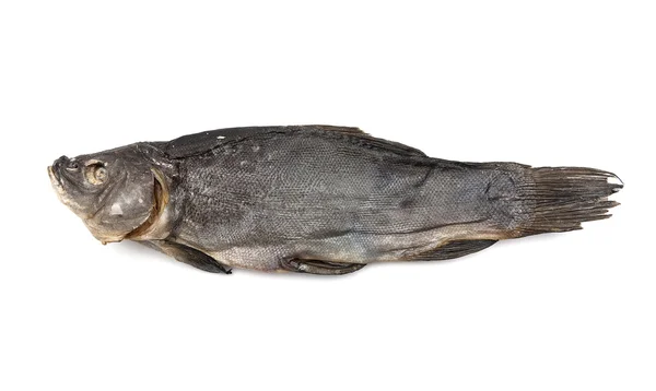Ryby suszone lina na białym tle — Zdjęcie stockowe