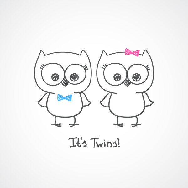 Близнецы совы
