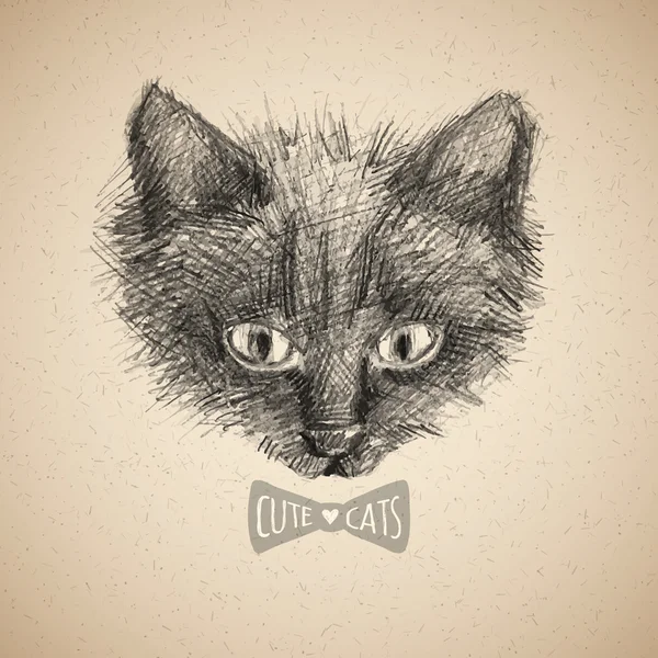 Kat gezicht schets — Stockvector