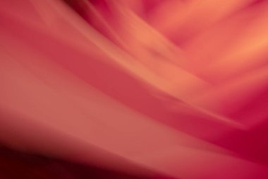 Red pink gradient background, with light rays 