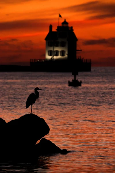 Harbor solnedgången med Heron — Stockfoto