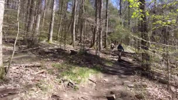Wandern hinter Mutter und Tochter im Wald — Stockvideo