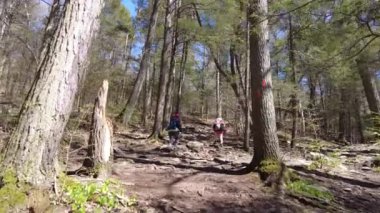 Ormanda anne ve kızının arkasında yürüyüş yapmak.