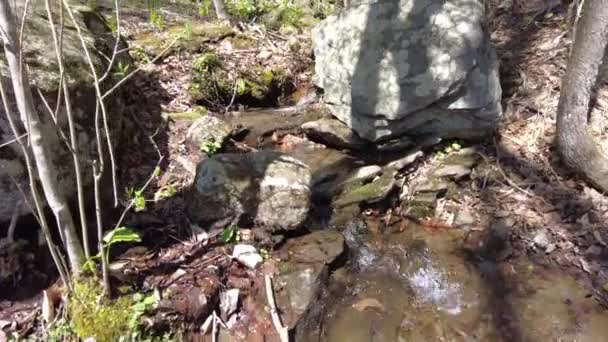 Sartén lento en un arroyo de montaña en el bosque de Nueva Inglaterra — Vídeos de Stock