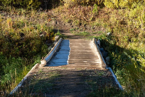 A bridge with a path leading to it. The path is made of wood and is surrounded by grass