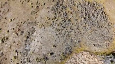 Suya batmış ağaçlarla oluşturulan toprak kayması sonucu oluşan bir gölün üzerinde drone klibi.