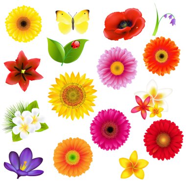 Clorful Flowers And Leaves Set clipart