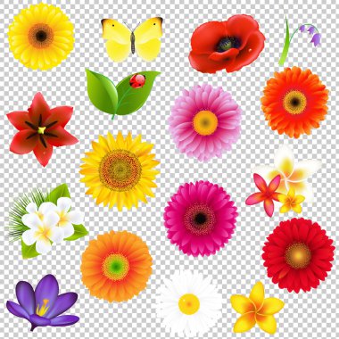 Big Flowers And Leaves Set clipart