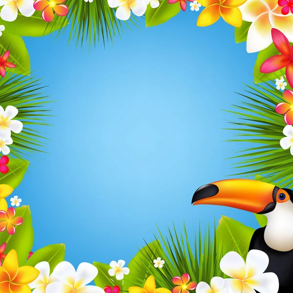 Floral Banner With Toucan And Frangipani — Stock Vector