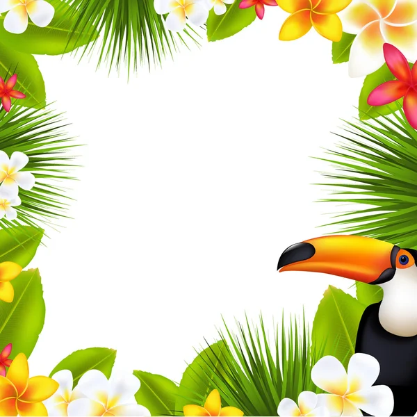 Cornice tropicale con Frangipani e toucan — Vettoriale Stock