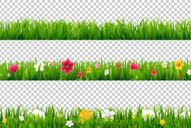 Yaz çiçeği sınırları