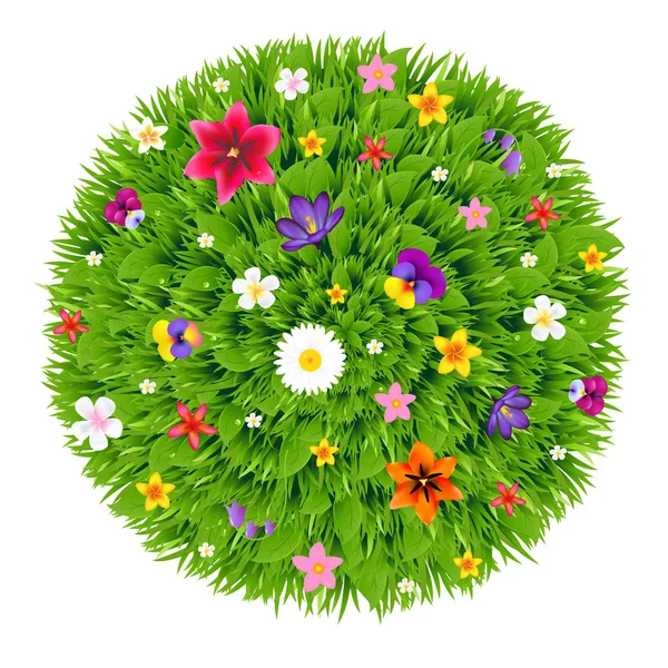 Bola verde con flores — Vector de stock