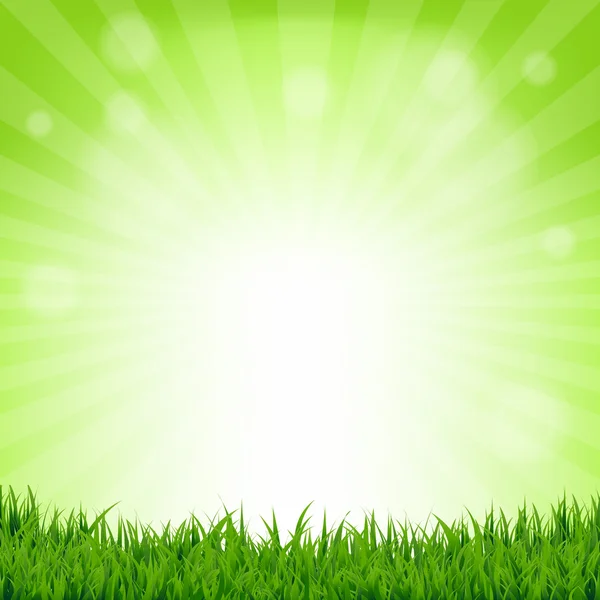 Gras en Bokeh natuur Poster — Stockvector