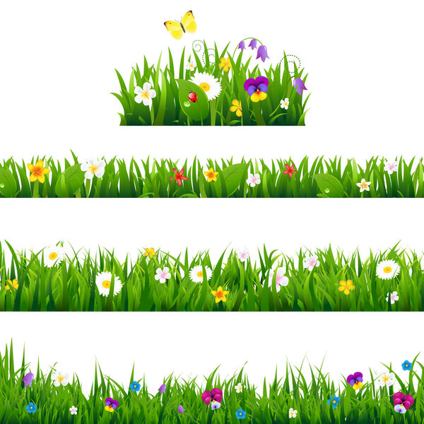 Большой набор плавников
