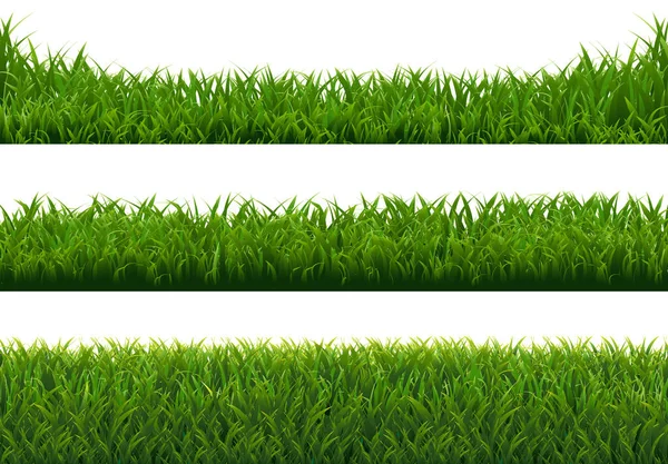 Green Grass Big Set Isolated White Background — Stock Vector