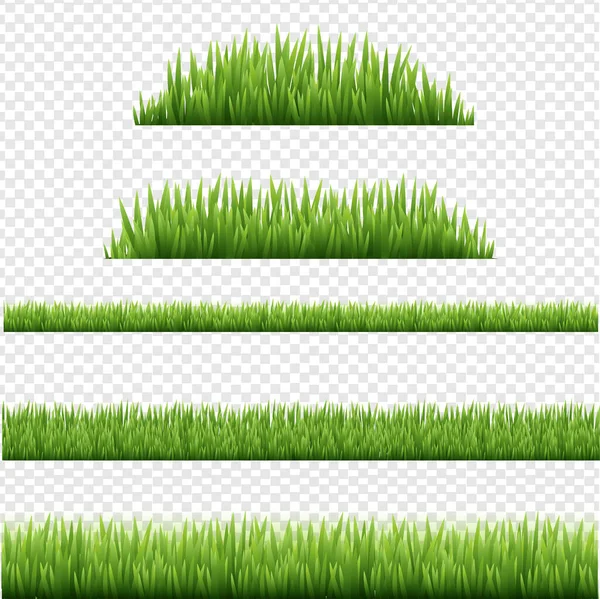 Green Grass Borders Set Isolated Transparent Background — Stock Vector