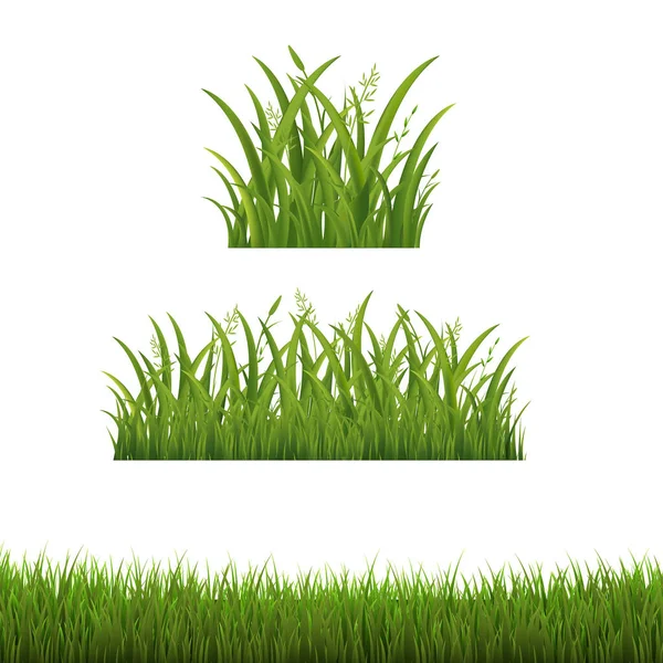 Green Grass Frames Collection Isolated White Background — 스톡 벡터