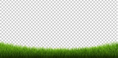 Çim Kenarlıkları İzole Şeffaf Arkaplan Ayarladı