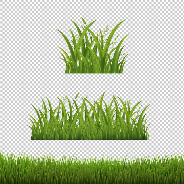 Zelené travní rámečky zasazené v izolované s průhledným pozadím — Stockový vektor