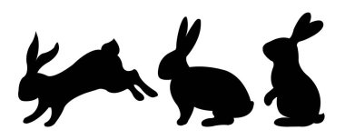 Beyaz Arkaplanı Olan Siyah Tavşan