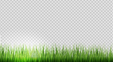 Yeşil Çimen Sınırı Şeffaf Arkaplan