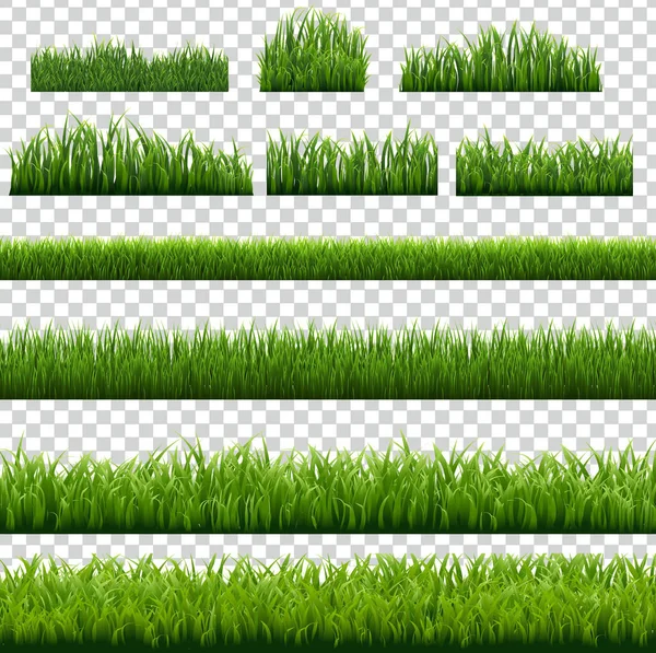 Big Set Green Grass Border sfondo trasparente — Vettoriale Stock