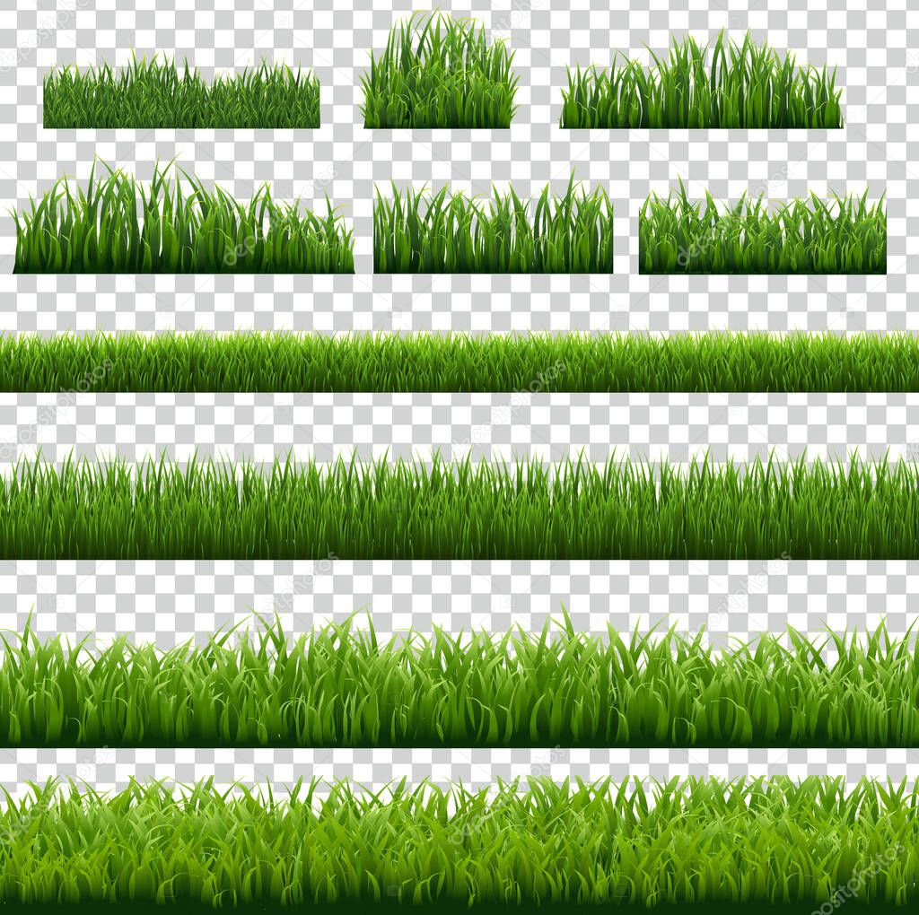 Big Set Green Grass Border Transparent Background