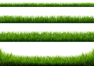 Beyaz Arkaplan Yeşil Çimen Sınırı