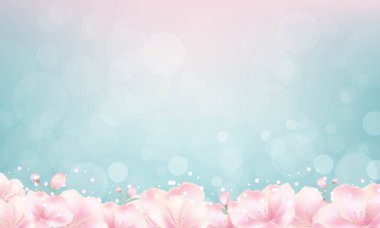 Naneli Kiraz Çiçekleri