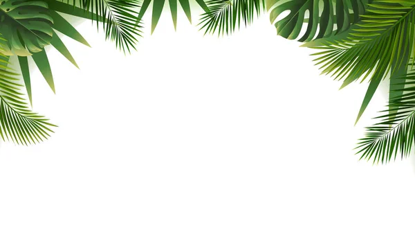 Ohraničení tropických listů izolované bílé pozadí — Stockový vektor