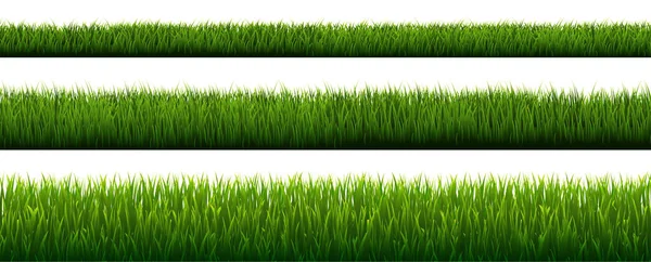 Green Grass Border With Transparent Background — Stock Vector