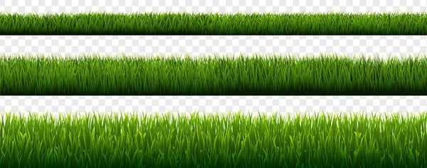 Green Grass Border With Transparent Background — Stock Vector