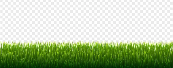 Frontera de hierba verde y fondo transparente Ilustración De Stock