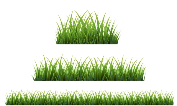 Green Grass Border With White Background — Stock Vector