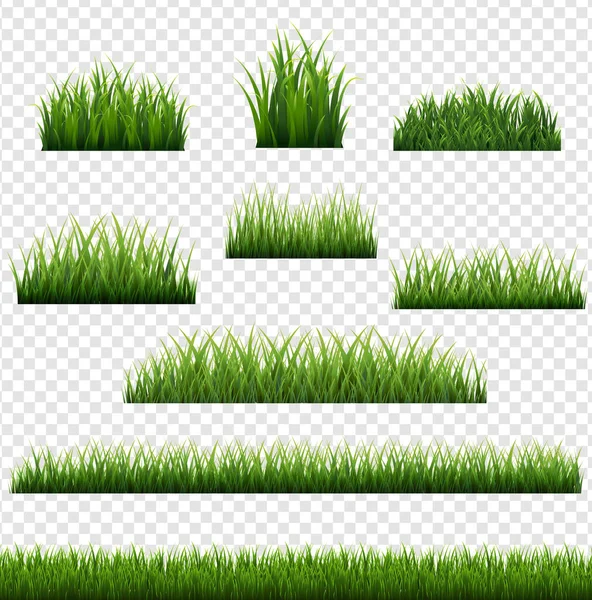 Green Grass Border Big Set con fondo transparente Vector De Stock