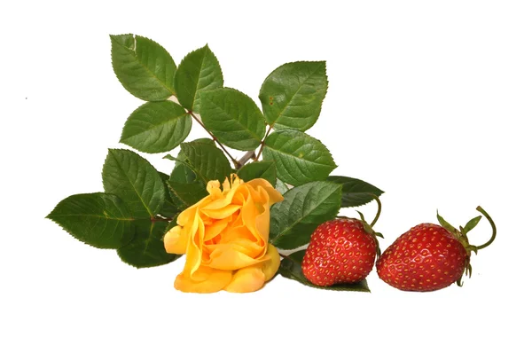 Yellow rose and strawberries — Stockfoto