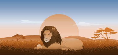 Aslan çimenlerde oturur ya da uzanır, vahşi yaşam manzarası savanası günbatımı arka planı, vektör çizimi