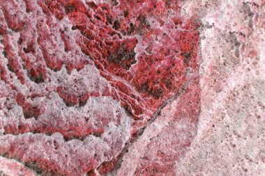 Provence - eski kirli ahşap doku - sanat dokusu ve arkaplan - mavi ve yeşil tonlu doku