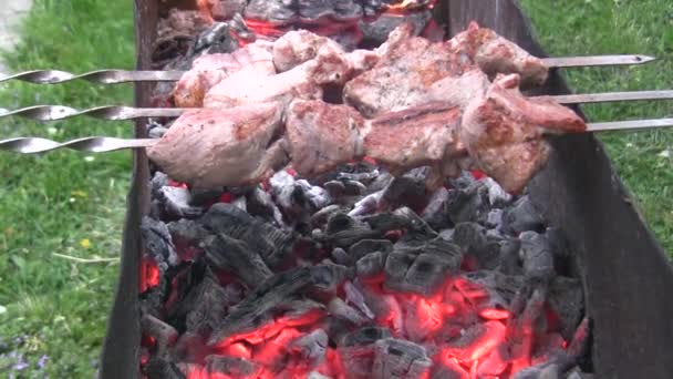 Meat Roasted Barbecue Coals Burned Close Spins Spit — Stock Video