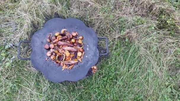 Meat Potatoes Cooked Pan Eco Wild Nature Dishes Outdoors — Stock Video