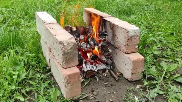 Barbecue Fire Green Grass — Stock Video