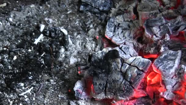 石炭のちらつき 石炭燃焼の背景 暖炉の石炭 — ストック動画