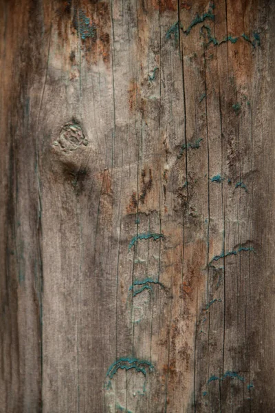 Wooden Texture Natural Wood Background Old Wooden Fence Design Weathered — Stock Photo, Image