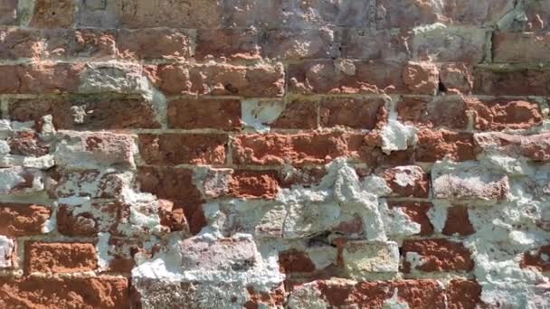 Vieja Pared Ladrillo Rojo Resistido Día Soleado Diseño Arte — Vídeo de stock