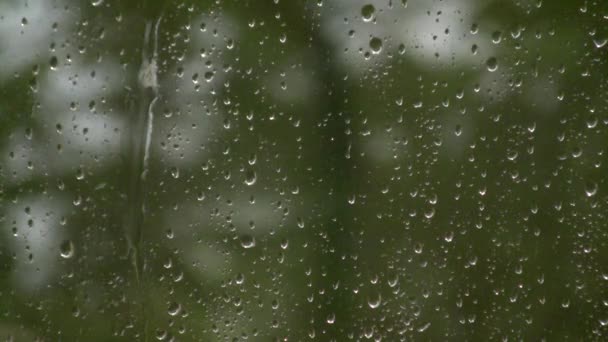 Капли Дождя Стекают Стеклу Осень Окном Ураган Снаружи Капли Стекают — стоковое видео