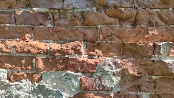 Eski Kırmızı Tuğla Duvar Yıpranmış Güneşli Bir Gün Tasarım Sanat — Stok video